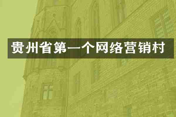 贵州省第一个网络营销村