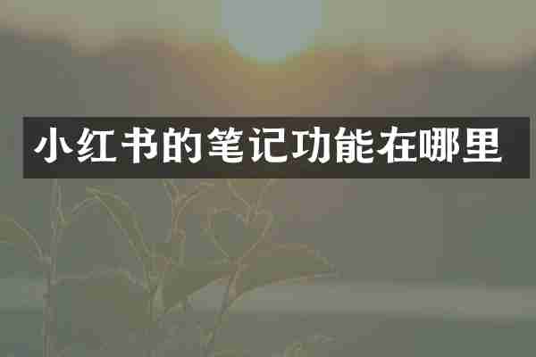 小红书的笔记功能在哪里