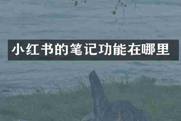 小红书的笔记功能在哪里