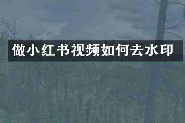 做小红书视频如何去水印