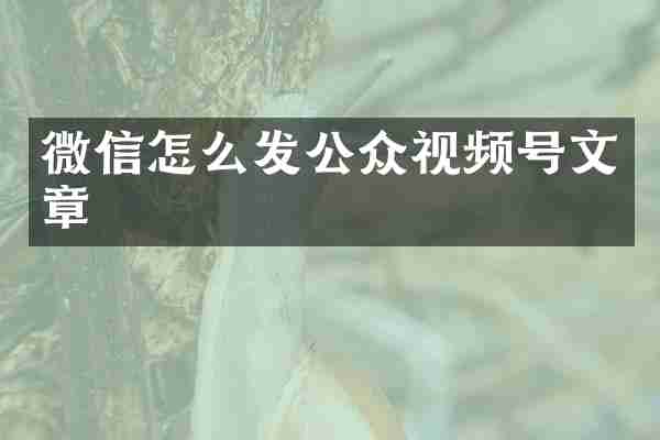 微信怎么发公众视频号文章