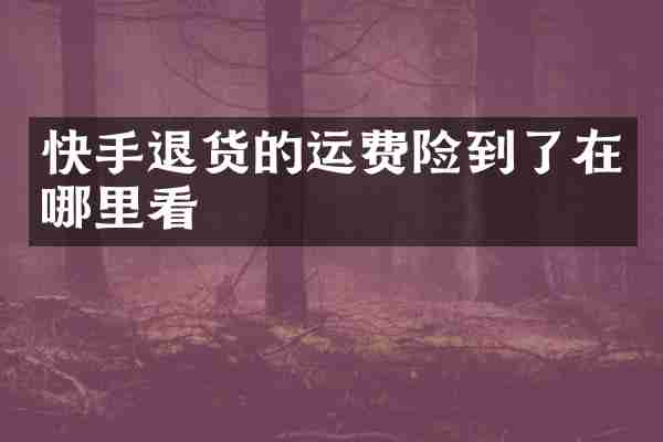 快手退货的运费险到了在哪里看