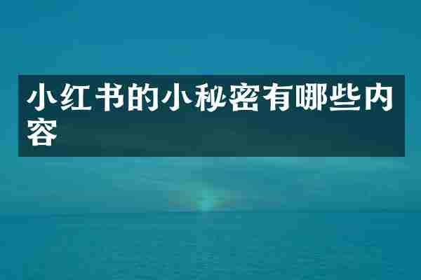 小红书的小秘密有哪些内容