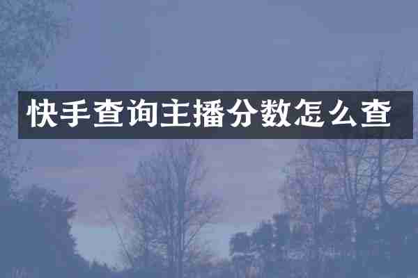 快手查询主播分数怎么查