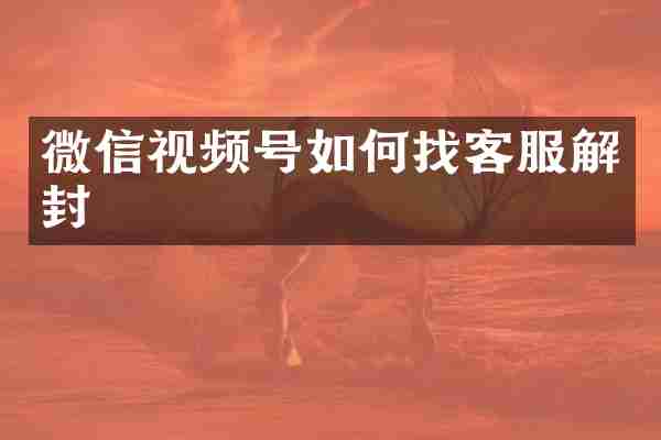 微信视频号如何找客服解封
