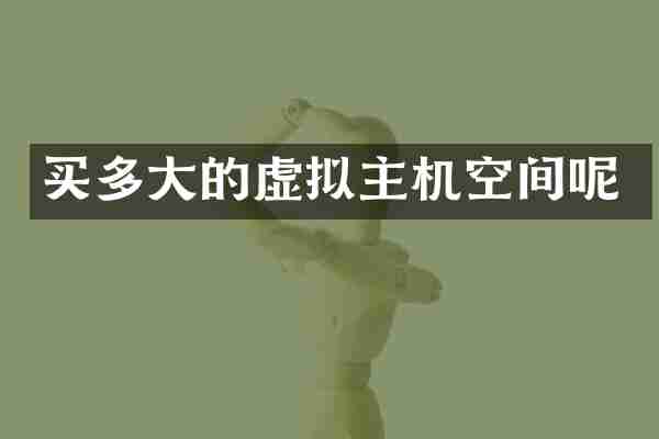 买多大的虚拟主机空间呢
