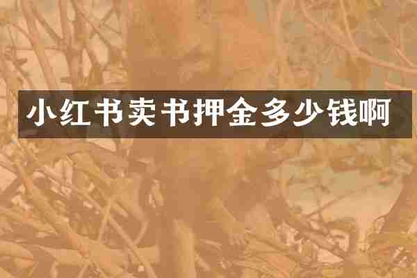 小红书卖书押金多少钱啊
