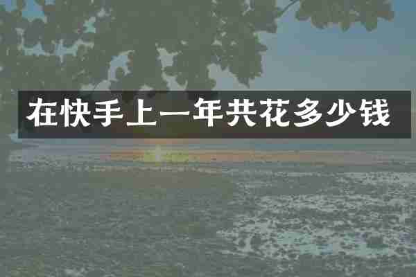 在快手上一年共花多少钱