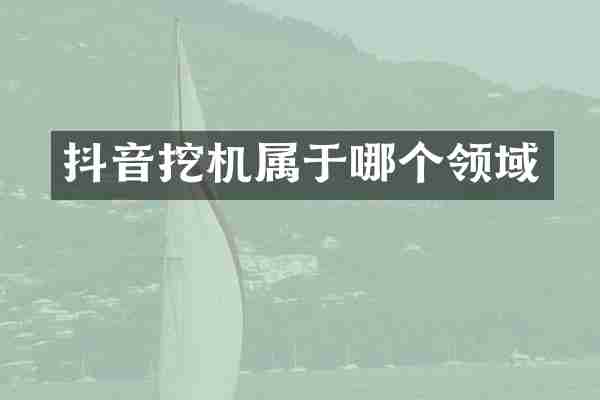 抖音挖机属于哪个领域