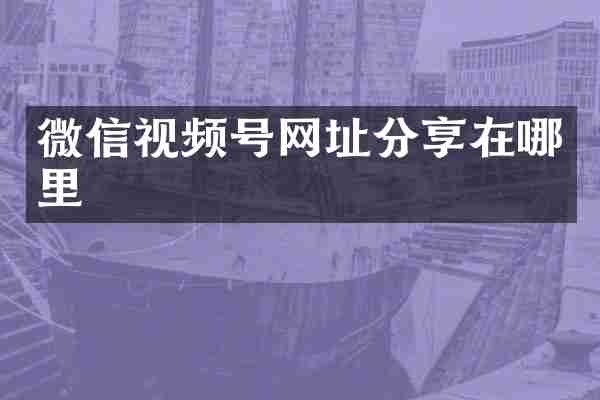 微信视频号网址分享在哪里
