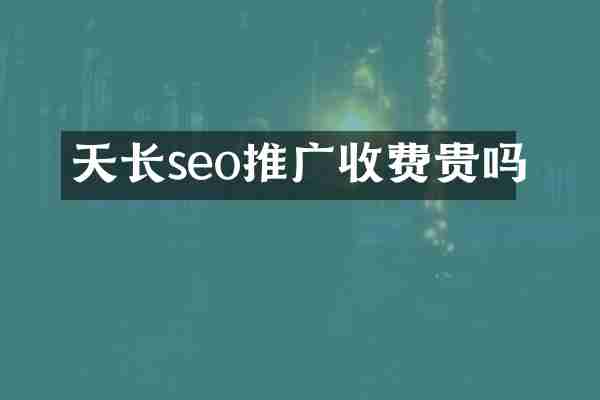 天长seo推广收费贵吗