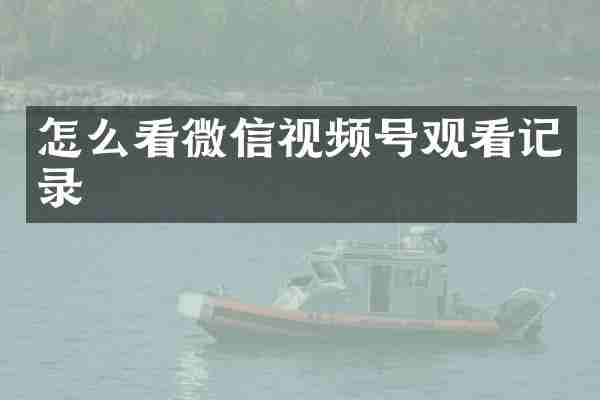 怎么看微信视频号观看记录