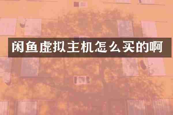 闲鱼虚拟主机怎么买的啊