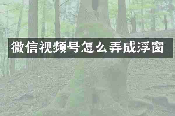 微信视频号怎么弄成浮窗
