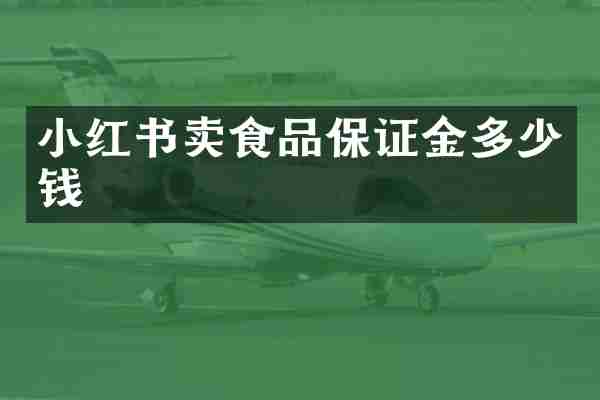 小红书卖食品保证金多少钱