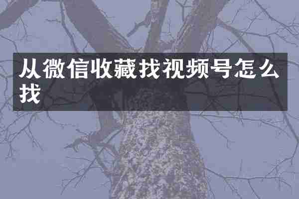 从微信收藏找视频号怎么找