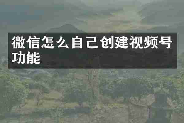微信怎么自己创建视频号功能