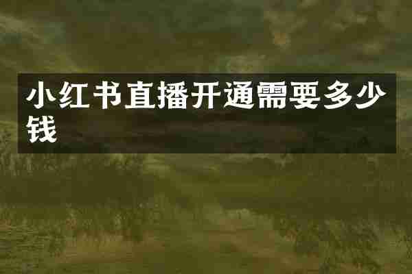 小红书直播开通需要多少钱