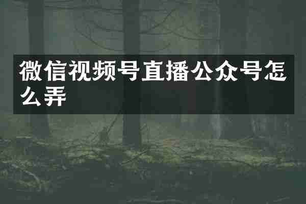 微信视频号直播公众号怎么弄