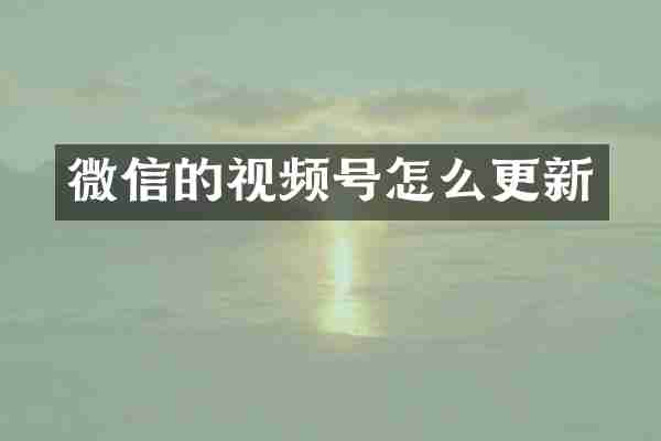 微信的视频号怎么更新