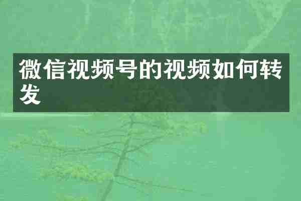 微信视频号的视频如何转发