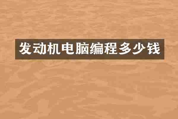 发动机电脑编程多少钱