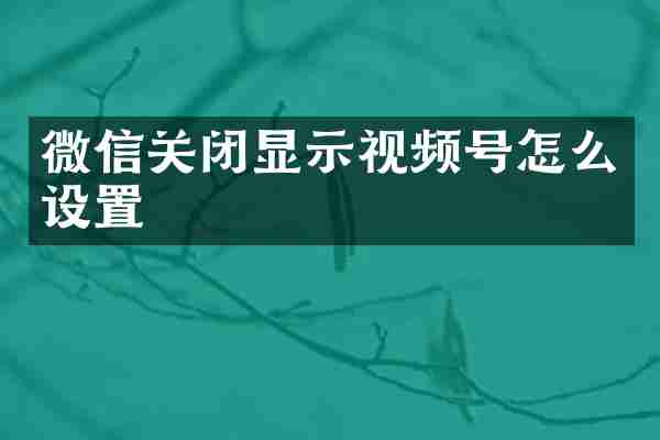 微信关闭显示视频号怎么设置