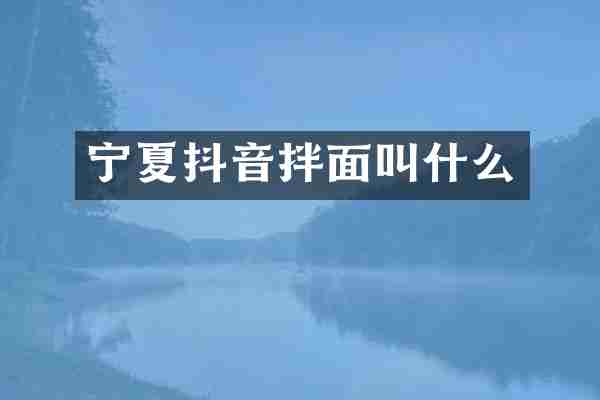 宁夏抖音拌面叫什么