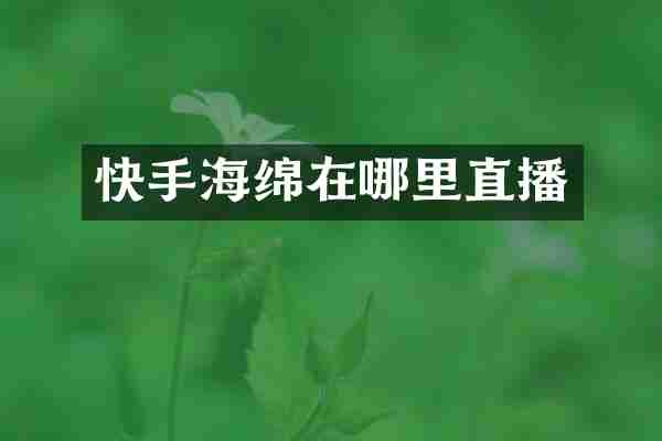 快手海绵在哪里直播