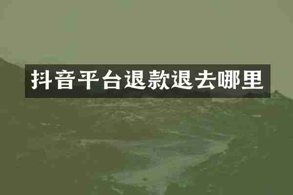 抖音平台退款退去哪里
