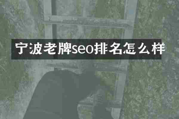 宁波老牌seo排名怎么样