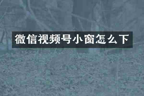 微信视频号小窗怎么下