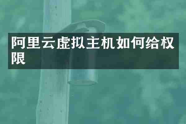阿里云虚拟主机如何给权限