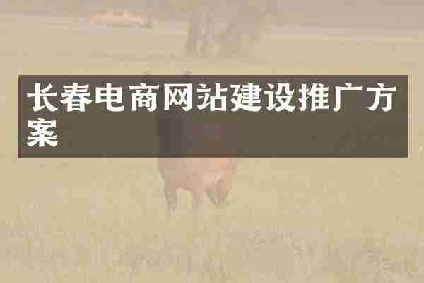 长春电商网站建设推广方案