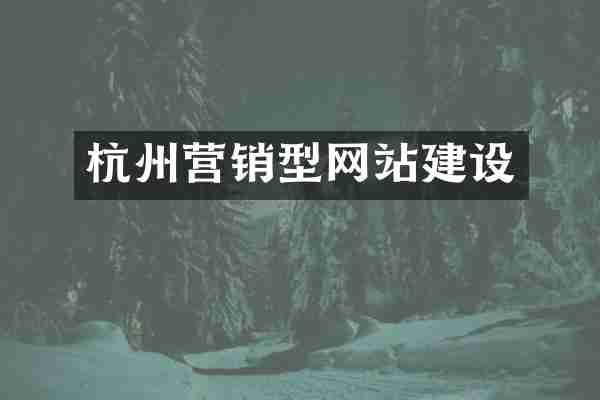 杭州营销型网站建设