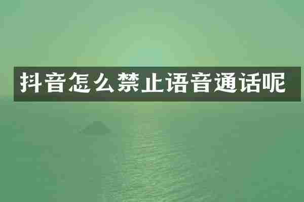 抖音怎么禁止语音通话呢