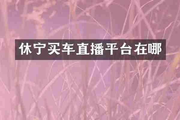 休宁买车直播平台在哪