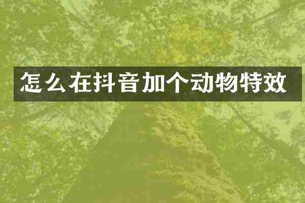 怎么在抖音加个动物特效