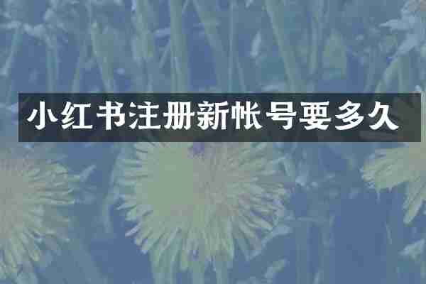小红书注册新帐号要多久