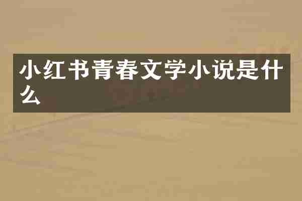 小红书青春文学小说是什么