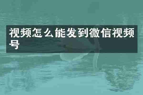 视频怎么能发到微信视频号