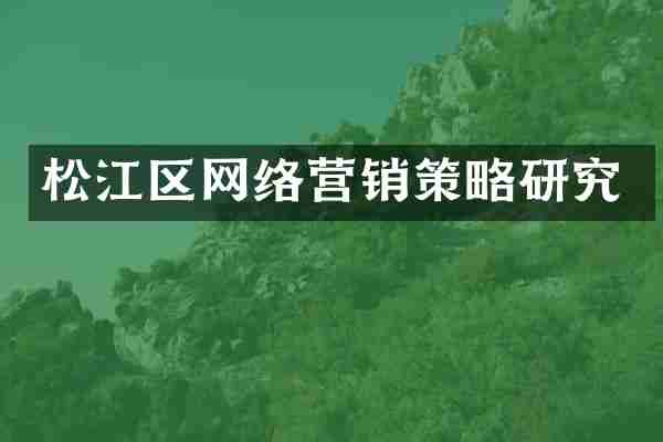 松江区网络营销策略研究