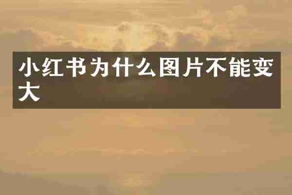 小红书为什么图片不能变大