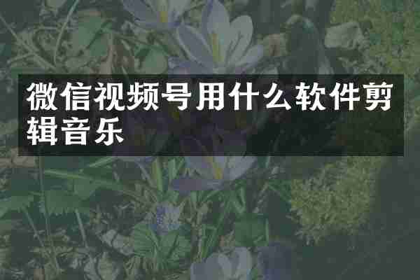 微信视频号用什么软件剪辑音乐