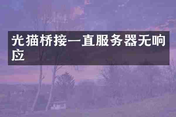 光猫桥接一直服务器无响应