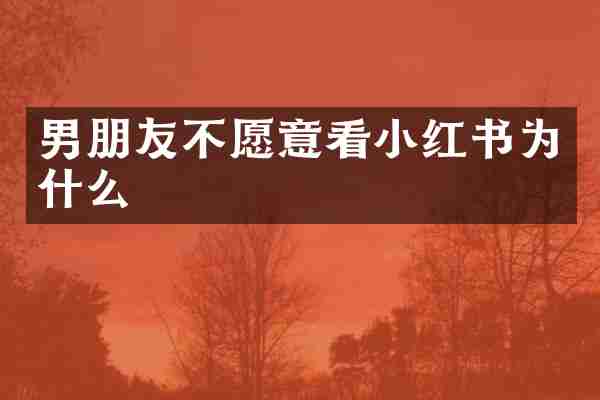 男朋友不愿意看小红书为什么