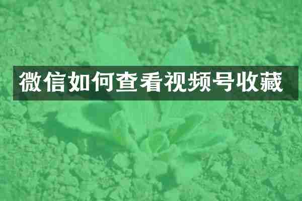 微信如何查看视频号收藏