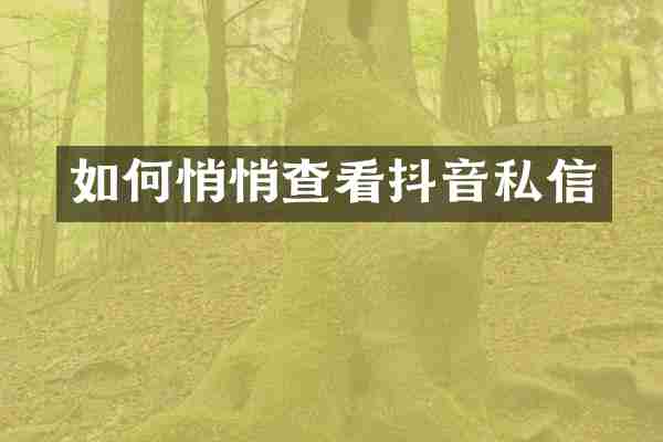 如何悄悄查看抖音私信