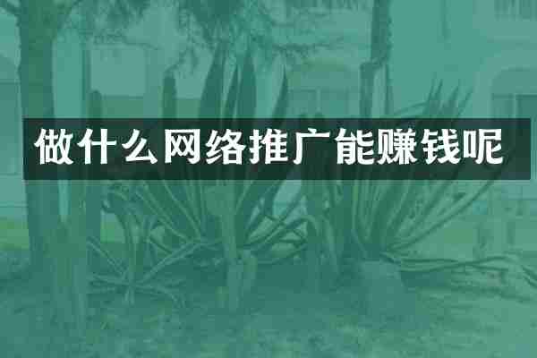 做什么网络推广能赚钱呢