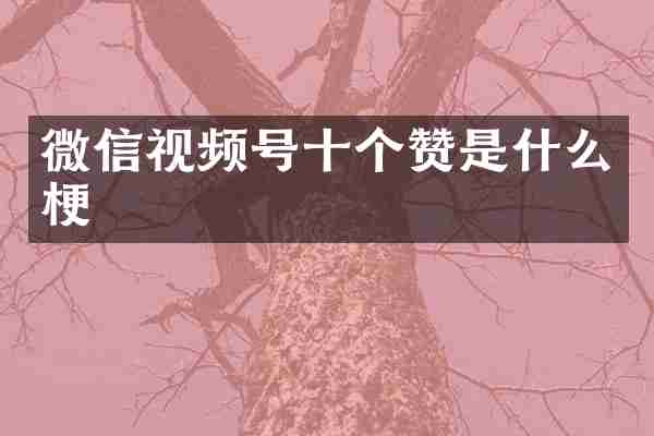 微信视频号十个赞是什么梗